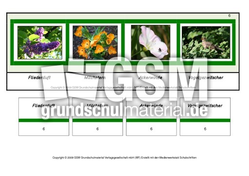 Setzleiste-zusammengesetzte-Frühlingswörter 6.pdf